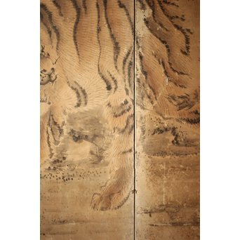 白井華陽 虎の図 六曲一双紙本水墨屏風　Z243 