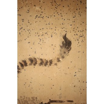 白井華陽 虎の図 六曲一双紙本水墨屏風　Z243 