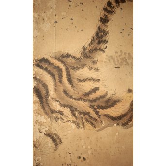 白井華陽 虎の図 六曲一双紙本水墨屏風　Z243 