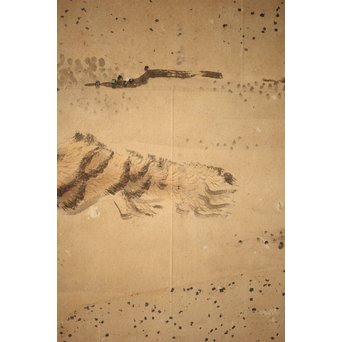 白井華陽 虎の図 六曲一双紙本水墨屏風　Z243 