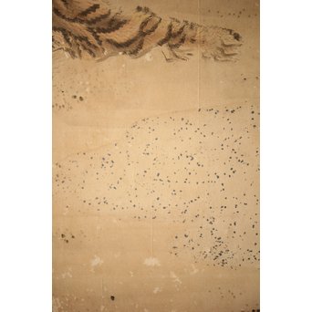 白井華陽 虎の図 六曲一双紙本水墨屏風　Z243 