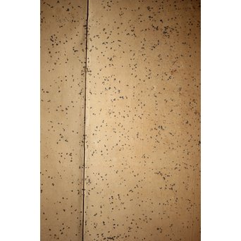 白井華陽 虎の図 六曲一双紙本水墨屏風　Z243 