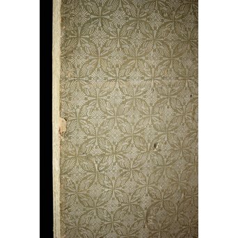 白井華陽 虎の図 六曲一双紙本水墨屏風　Z243 