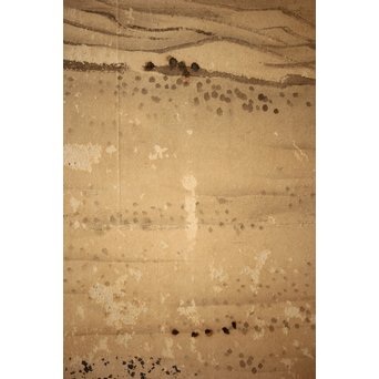 白井華陽 虎の図 六曲一双紙本水墨屏風　Z243 