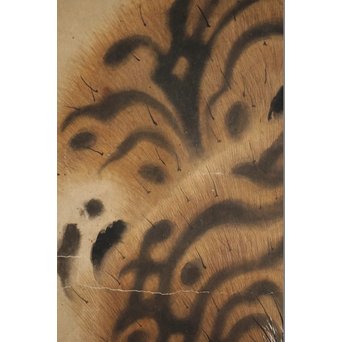 作者不明 紙本彩色掛軸 虎の図　Z244 