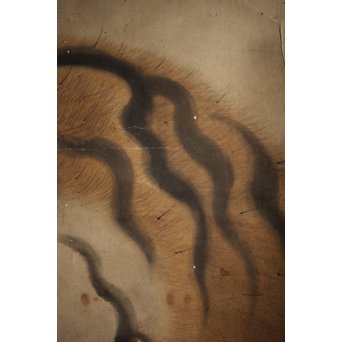 作者不明 紙本彩色掛軸 虎の図　Z244 