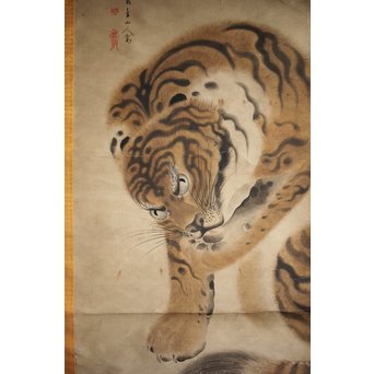 作者不明 紙本彩色掛軸 虎の図　Z244 