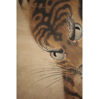 作者不明 紙本彩色掛軸 虎の図　Z244 