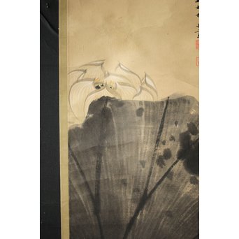 邨松雲外 蓮の図 紙本掛軸　Z245 