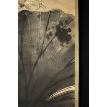 邨松雲外 蓮の図 紙本掛軸　Z245 