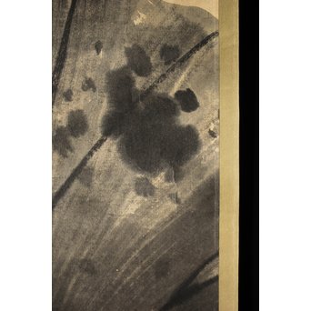 邨松雲外 蓮の図 紙本掛軸　Z245 