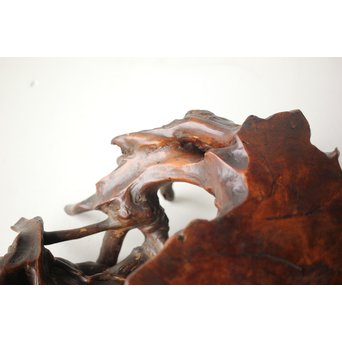 根木台 盆栽卓 木彫自然木　X276 