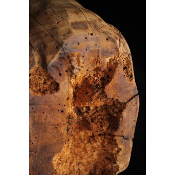 木鼻 象鼻 寺院木彫　X279 