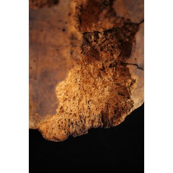 木鼻 象鼻 寺院木彫　X279 