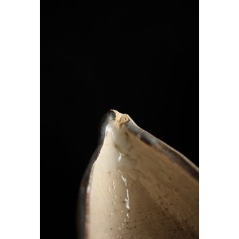 加藤麦岱 絵志野茶器セット　P225 