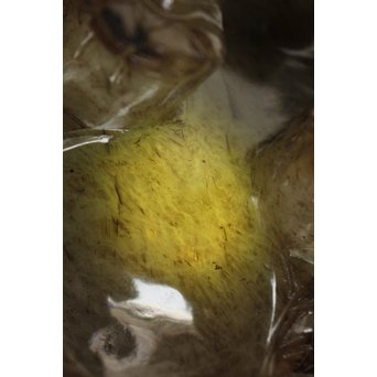 玉彫 獅子 蓋物香炉　U242 