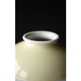 日陶ノリタケ 紅葉 電笠照明　A2057 