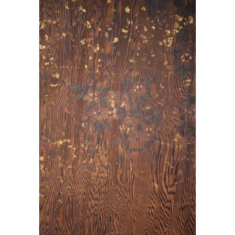 板絵帯戸 孔雀図 2枚1組　B1004Y 