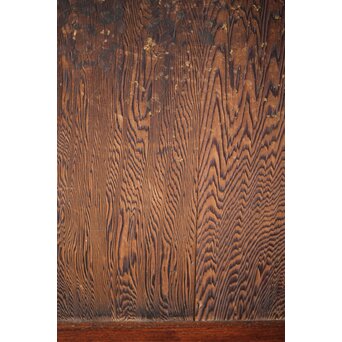 板絵帯戸 孔雀図 2枚1組　B1004Y 