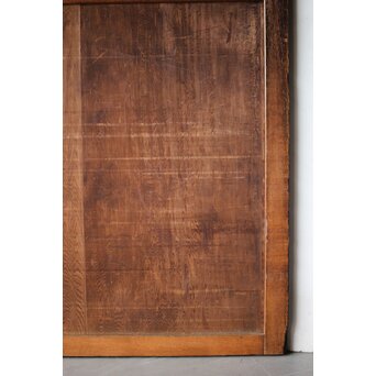 板絵帯戸 孔雀図 2枚1組　B1004Y 