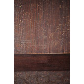 板絵帯戸 孔雀図 2枚1組　B1004Y 