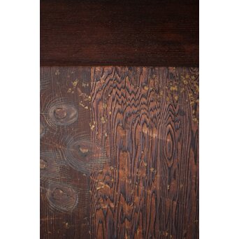 板絵帯戸 孔雀図 2枚1組　B1004Y 