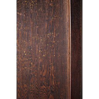 板絵帯戸 孔雀図 2枚1組　B1004Y 