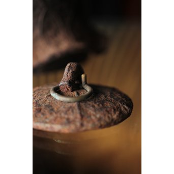 蓮型小鉄瓶 急須 湯沸　M258 