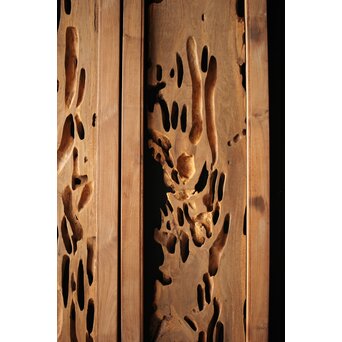 自然木/虫食手 堅木の欄間 2枚1組　R0094 