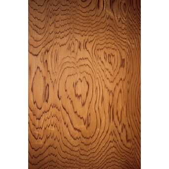 良杢 一枚板建具 2枚1組　B1008Y 