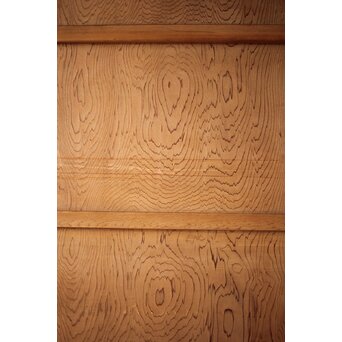 良杢 一枚板建具 2枚1組　B1008Y 