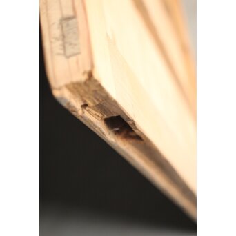 すりガラスの まいら雪隠戸　GD0057 