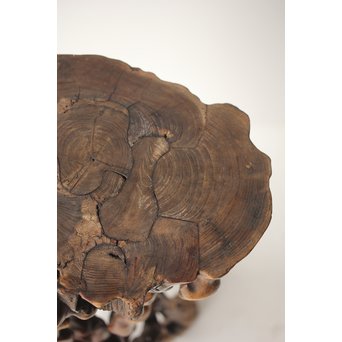 根木台 盆栽卓 木彫自然木　X297 