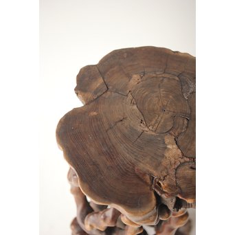根木台 盆栽卓 木彫自然木　X297 