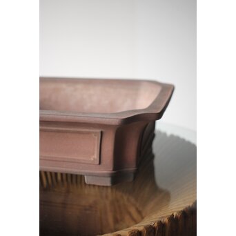 常滑焼 中野行山 外縁隅切額面長方鉢　P251 