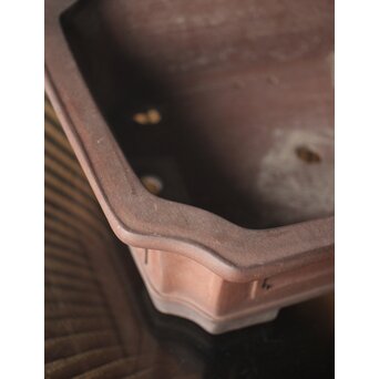 常滑焼 中野行山 外縁隅切額面長方鉢　P251 