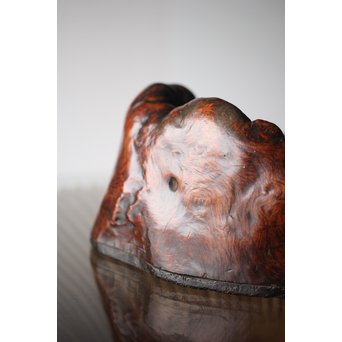 天然木 瘤木 煎茶盆  瓶掛　X299 