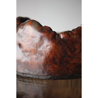 天然木 瘤木 煎茶盆  瓶掛　X299 