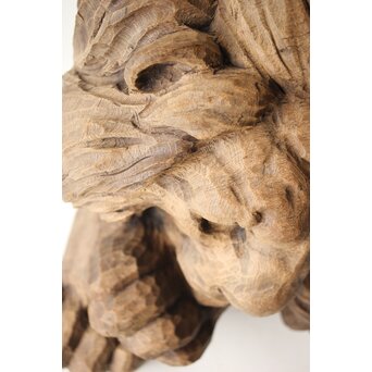 加納鉄哉 大作 ライオン/獅子　X300 