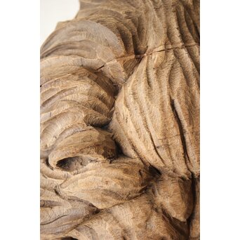 加納鉄哉 大作 ライオン/獅子　X300 