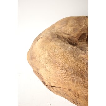 加納鉄哉 大作 ライオン/獅子　X300 