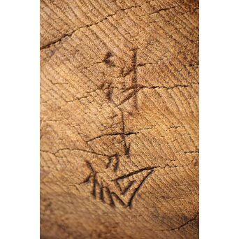 加納鉄哉 大作 ライオン/獅子　X300 