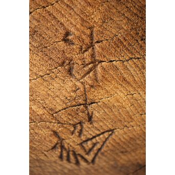 加納鉄哉 大作 ライオン/獅子　X300 