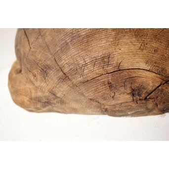 加納鉄哉 大作 ライオン/獅子　X300 