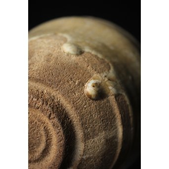 斑唐津 朝鮮唐津系茶碗 藁灰釉　P255 