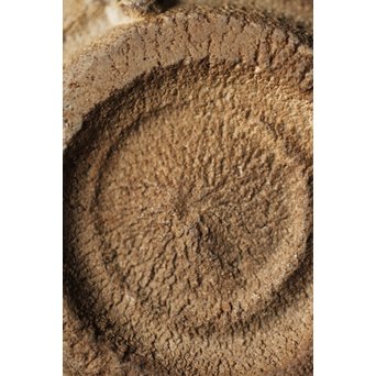 斑唐津 朝鮮唐津系茶碗 藁灰釉　P255 