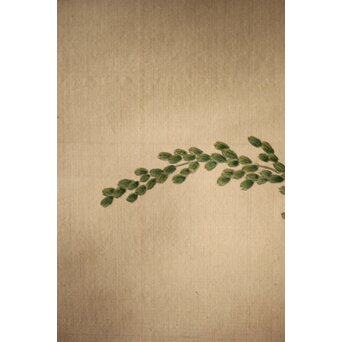 三宅竜子/三宅花圃 肉筆絹本掛軸 稲并草花之図　Z258 