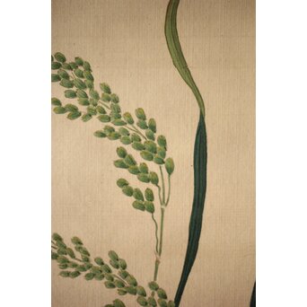 三宅竜子/三宅花圃 肉筆絹本掛軸 稲并草花之図　Z258 