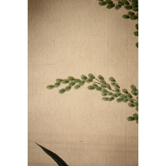 三宅竜子/三宅花圃 肉筆絹本掛軸 稲并草花之図　Z258 