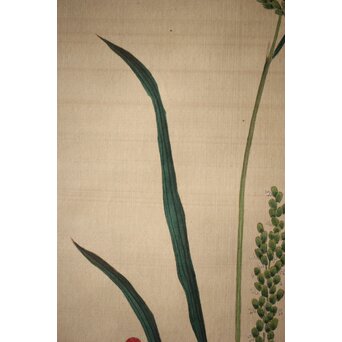 三宅竜子/三宅花圃 肉筆絹本掛軸 稲并草花之図　Z258 